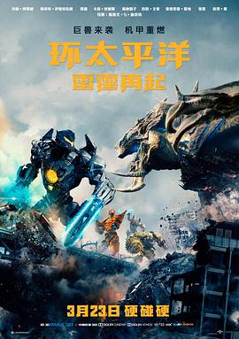 美剧无声证词全集观看海报